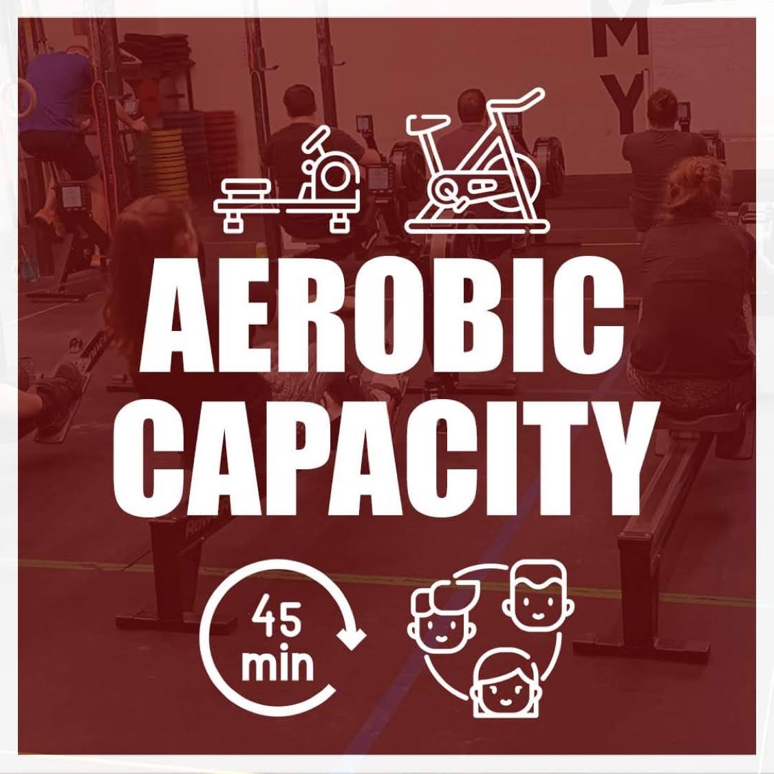 Aerobic Capacity