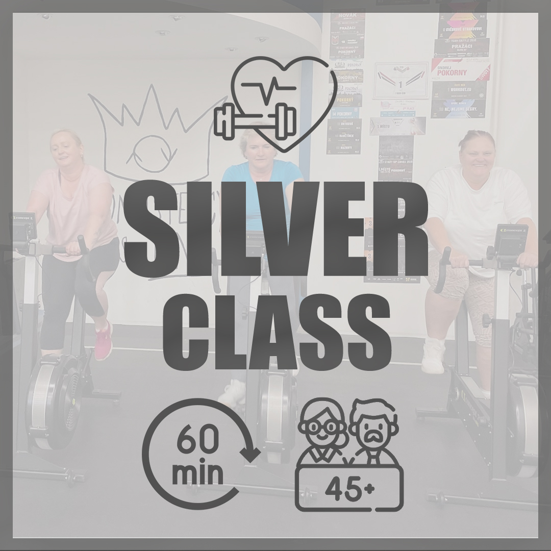 Silver Class